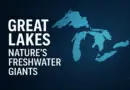 Great Lakes: Nature’s Freshwater Giants