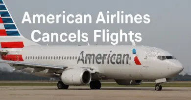 American Airlines Cancels Flights & Handles Emergency Evacuation